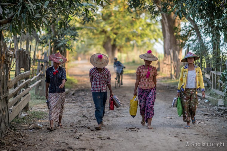 Field workers walk home after harvest in a village along Myanmar's Chindwin River.